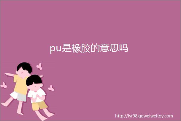 pu是橡胶的意思吗