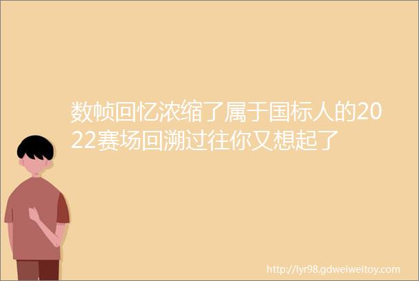 数帧回忆浓缩了属于国标人的2022赛场回溯过往你又想起了