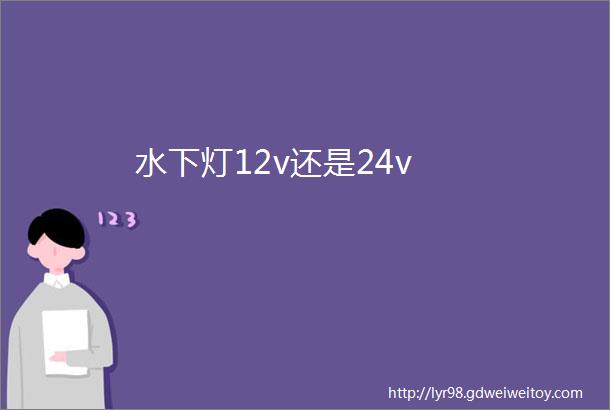 水下灯12v还是24v