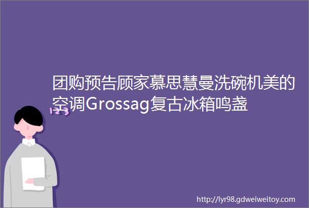 团购预告顾家慕思慧曼洗碗机美的空调Grossag复古冰箱鸣盏智能茶壶moido小家电蕉下合集一末团