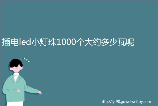 插电led小灯珠1000个大约多少瓦呢